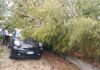 Temporale estivo si accanisce su Fano e dintorni: alberi divelti, auto danneggiate, disagi al traffico