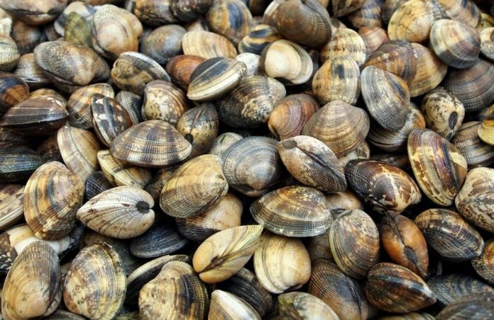 Vongole-696x452