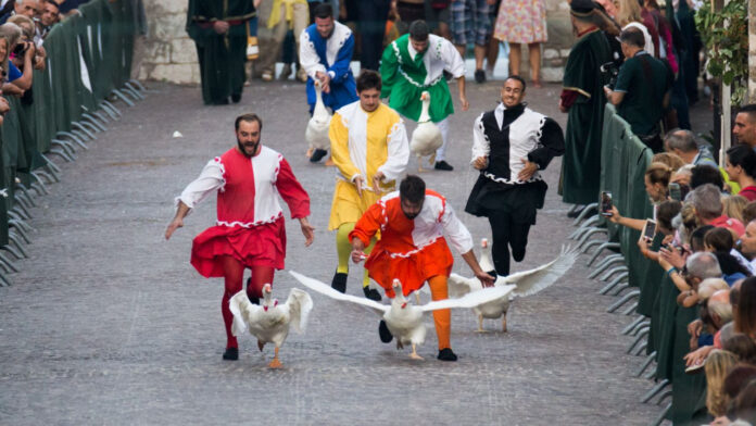 palio-della-rocca_142947_2