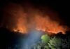 Cantiano, domato vasto incendio in zona San Rocco Casale