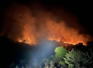 Cantiano, domato vasto incendio in zona San Rocco Casale