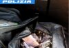 Sequestrati 38 chili di hashish. La polizia autostradale di Fano effettua tre arresti