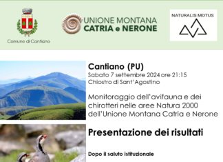 Uccelli e pipistrelli nell’area del Catria e Nerone, sabato 7 settembre a Cantiano la presentazione dei risultati di un monitoraggio