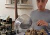 Con la Mostra del Tartufo di Apecchio parte la stagione italiana degli eventi dedicati al Re della terra e della tavola