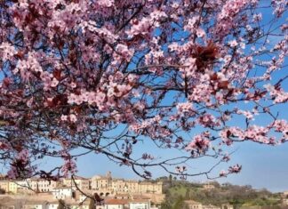 A Saltara di Colli al Metauro il microfestival di poesia tra meridiani e paralleli – poetando sotto le stelle