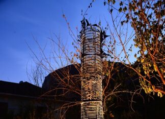 Arte e natura, al Furlo il richiamo della Land Art
