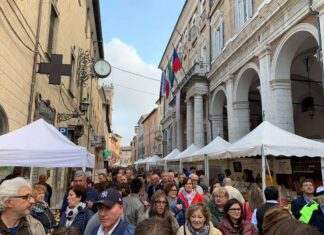Fiera del Tartufo di Pergola, si va verso il tutto esaurito