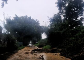 Maltempo, oltre 60 interventi della Provincia sulle strade