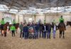 Cantiano Fiera Cavalli: il 13 e 20 ottobre cavallo del Catria, spettacoli equestri e attrazioni per tutta la famiglia