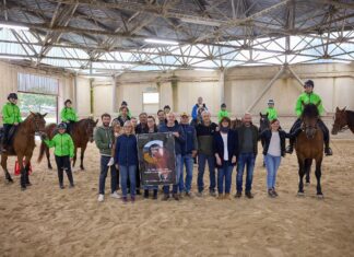 Cantiano Fiera Cavalli: il 13 e 20 ottobre cavallo del Catria, spettacoli equestri e attrazioni per tutta la famiglia