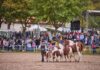 Grande successo la prima giornata di Cantiano Fiera Cavalli. 6mila presenze. Domenica si replica