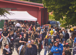 Cantiano Fiera Cavalli, tutto confermato: domenica prima giornata col bel tempo