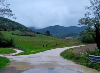 Forti piogge a Cantiano, straripa di nuovo il fiume a Pian di Balbano. La solita vecchia e brutta storia