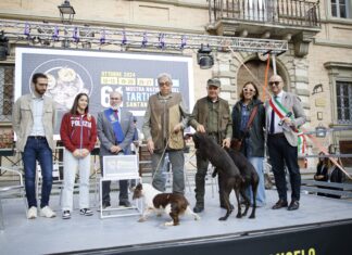 Chiude la 61^ Mostra del Tartufo di Sant’Angelo in Vado. Sofia Raffaeli e Giovanni Battista Girolomoni premiati nell’ultima domenica