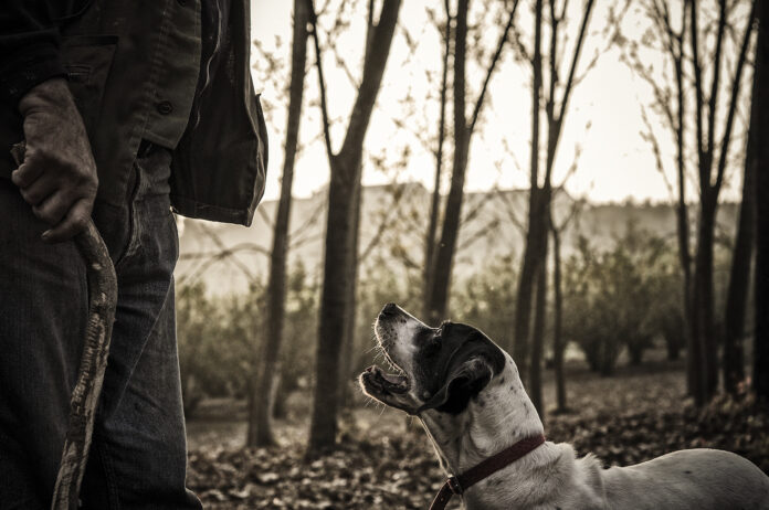 Tartufaio con cane (1)