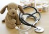 Fano, Ruggeri: “Nella città dei bimbi si rischia di rimanere senza pediatra: risposta deludente dell’assessore Saltamartini”