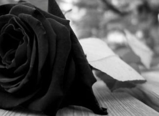Fano: tragedia in A14, oggi in Duomo il funerale di Giorgi