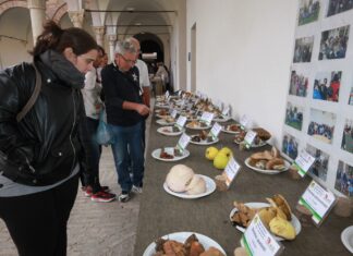 A Urbania la 30esima edizione della Mostra Micologica