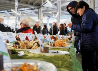 Sapori e Aromi d’Autunno si rinnova al Codma di Fano!