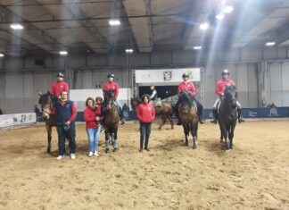 Il Cavallo del Catria alla prestigiosa Fieracavalli Verona