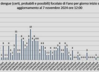 Dengue a Fano: focolaio verso l’estinzione, ci si prepara alla prossima stagione