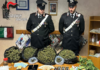 Cagli: due arresti per droga. 43enne del posto e 37enne di nazionalità spagnola in cella a Villa Fastiggi