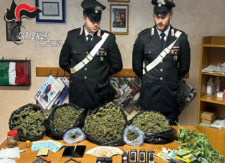 Cagli: due arresti per droga. 43enne del posto e 37enne di nazionalità spagnola in cella a Villa Fastiggi