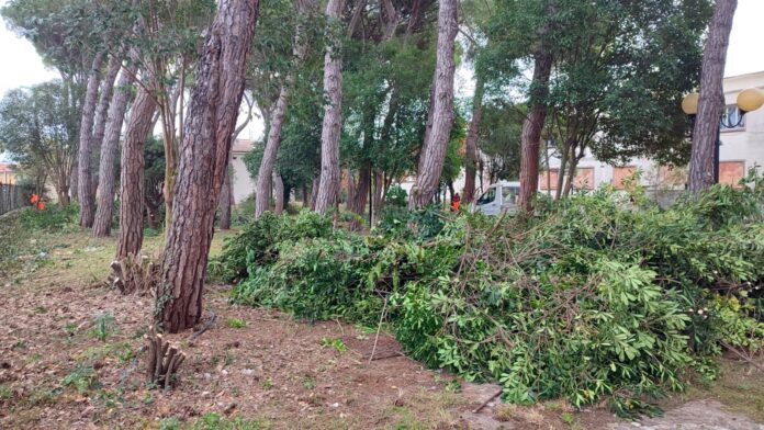 Ex giardino Vittoria Colonna
