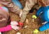 Il bosco per la vita raddoppia