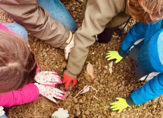 Il bosco per la vita raddoppia
