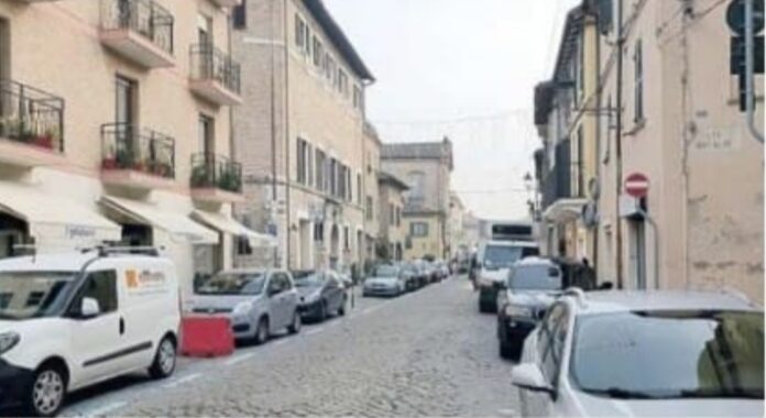 IMG_20241119_081326