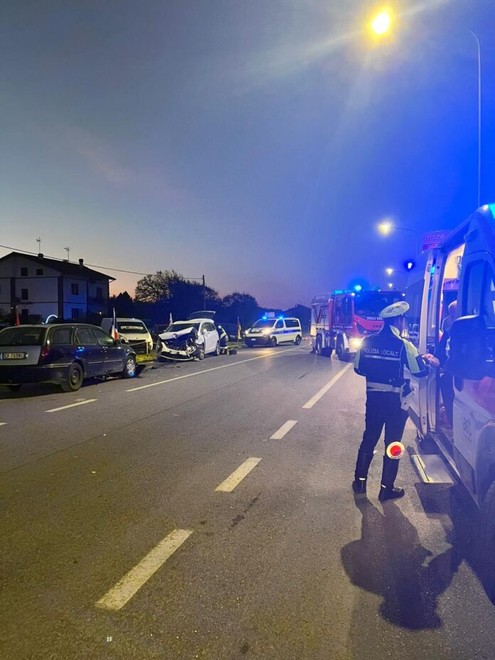Immagine WhatsApp 2024-11-03 ore 21.00.28_ece26498