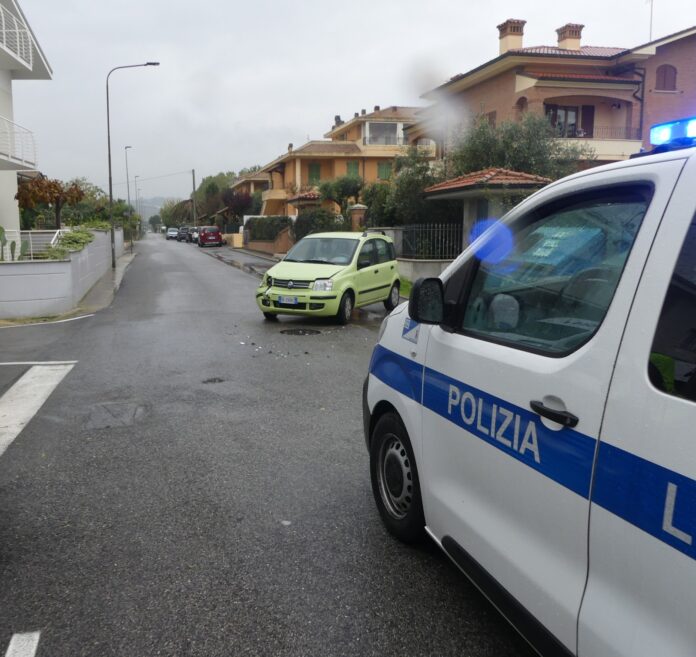 Immagine WhatsApp 2024-11-14 ore 22.48.06_28b7692c