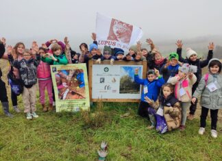 Fano, il Bosco per la Vita è nato ma si attende un gemello