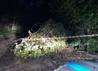 Fano, donna cade sulle scale a causa del vento. Alcuni alberi abbattuti dalle raffiche