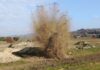 Disinnescato ordigno bellico a Monte Porzio, una bomba d’aereo inesplosa di 500 libbre