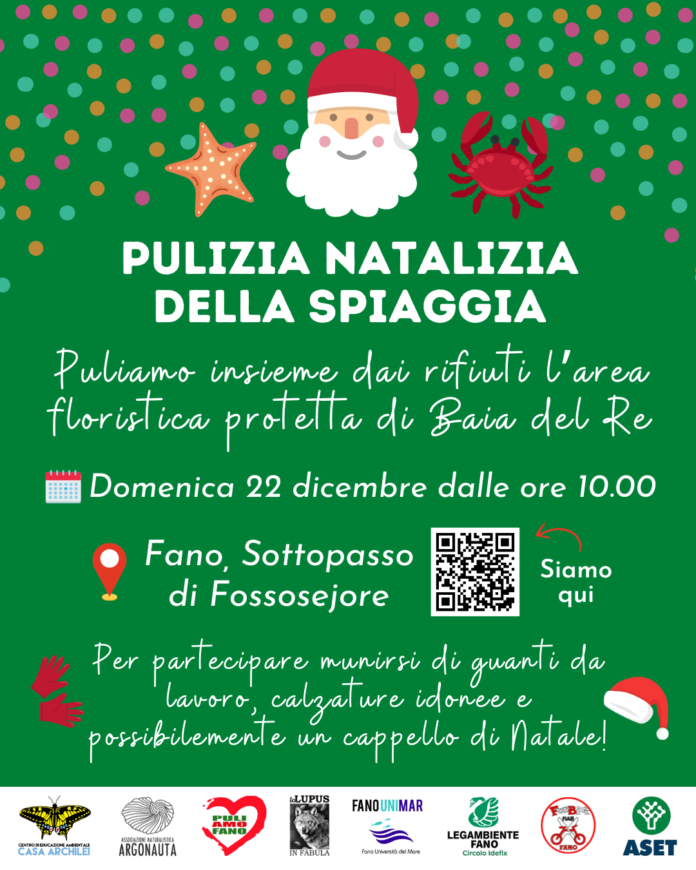 Pulizia della spiaggia (8)
