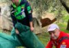 A Fano lode di eccellenza per l’olio di Stefano Luchetti