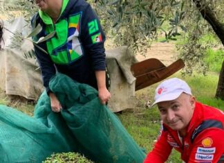 A Fano lode di eccellenza per l’olio di Stefano Luchetti