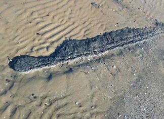 Pesaro, concrezioni e idrocarburi sulla spiaggia di Levante: preoccupazione crescente e richiesta di interventi urgenti