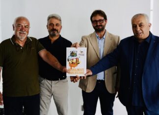 Miele Marche 2024, anno horribilis. Apicoltori locali chiedono sostegno alla Regione
