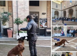 Urbino, gli studenti del Laurana Baldi raccontano la Active Citizenship Week 2025