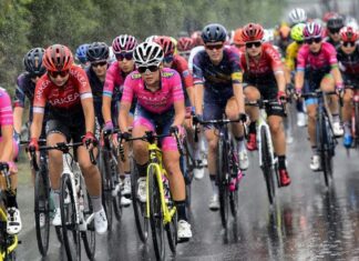 Le Marche protagoniste nella stagione del grande ciclismo internazionale