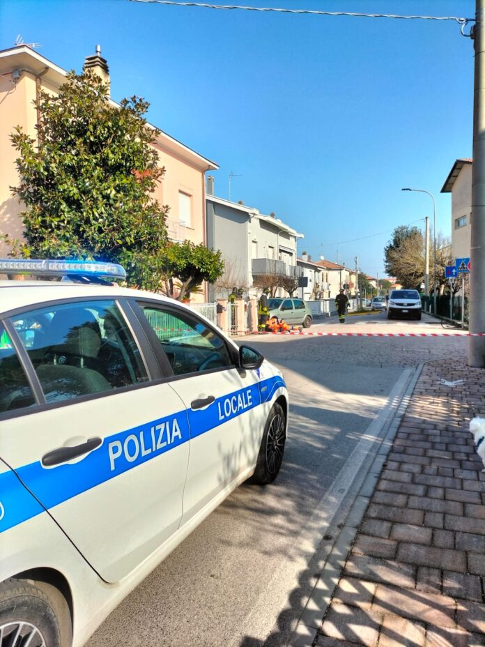 Immagine WhatsApp 2025-02-06 ore 18.27.47_8c269249
