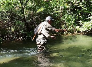 Pesca alla trota, scatta l’apertura. Il messaggio del presidente Fipsas Luigi Soriani
