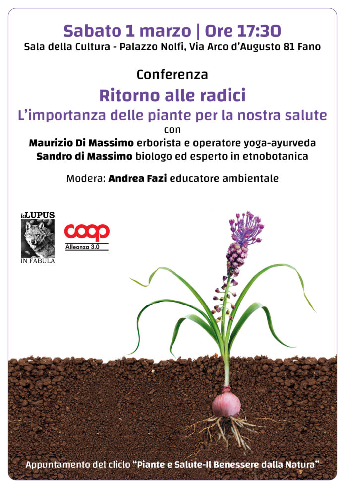 RADICI