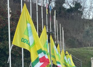 Le sfide dell’agricoltura, Coldiretti: oltre 100 soci all’assemblea di Urbino