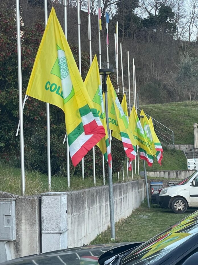 coldiretti