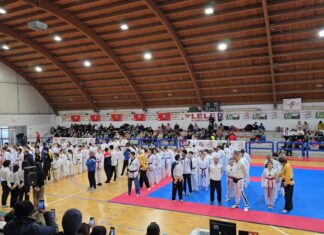 Grande successo per il secondo torneo di Taekwondo di Acqualagna