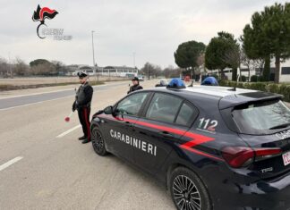 Vallefoglia: gara clandestina interrotta dai carabinieri